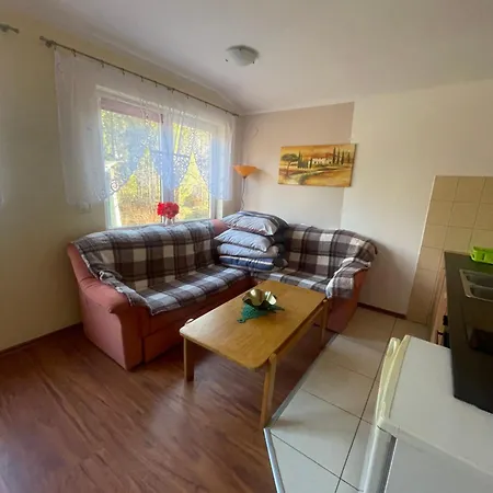 Dom Wislanskie Wzgorze Guest house Wisla