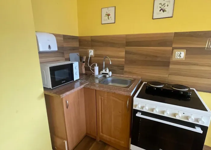 Dom Wislanskie Wzgorze בית הארחה