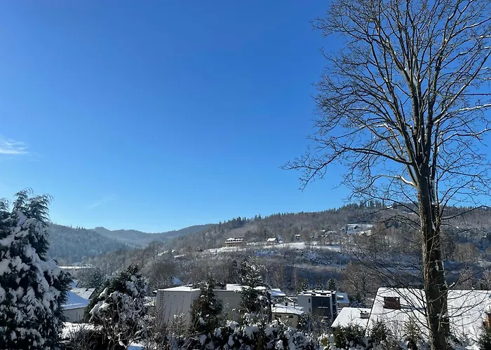 Dom Wislanskie Wzgorze ויסלאו